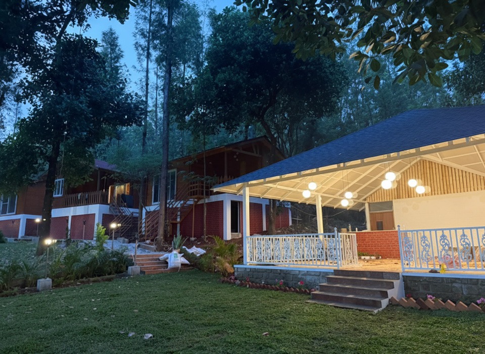 the wild deck