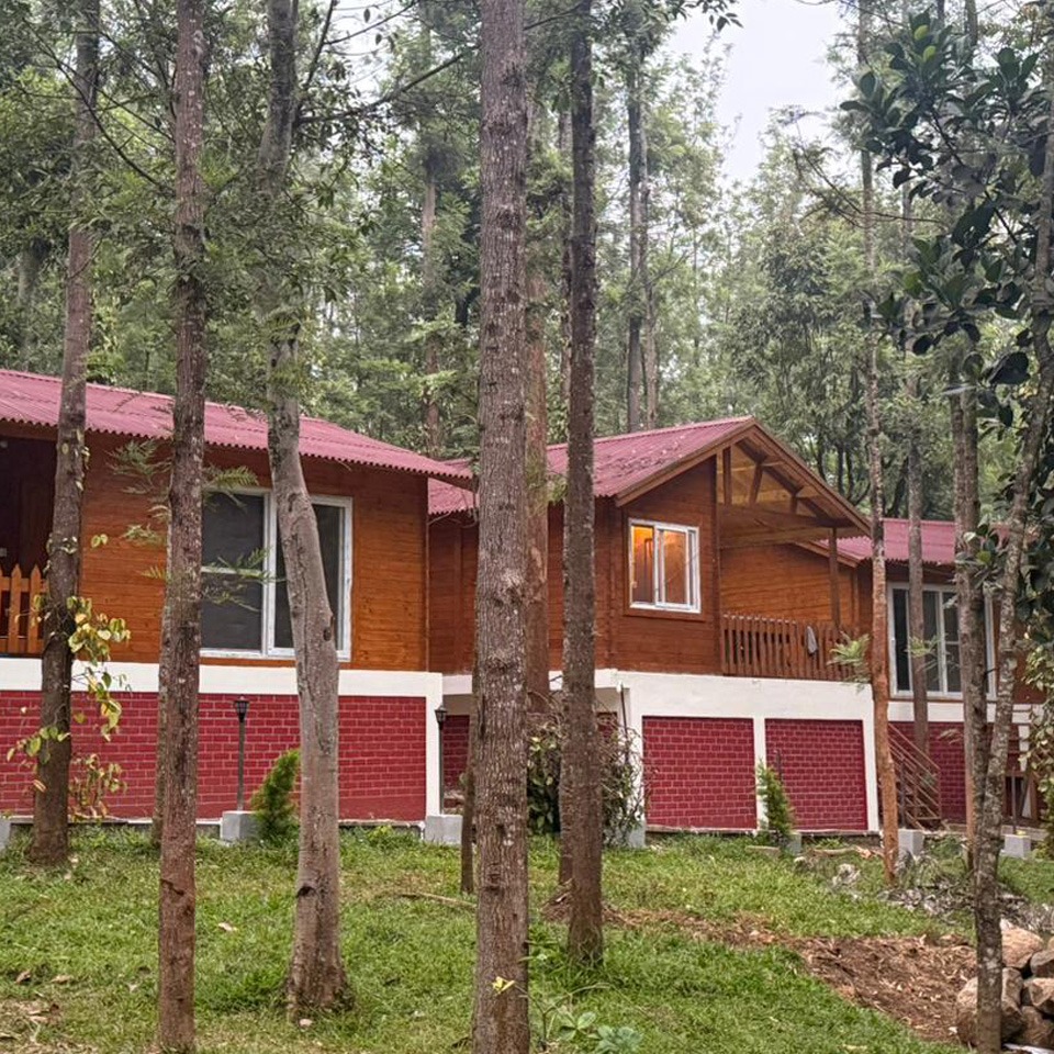 the wild deck